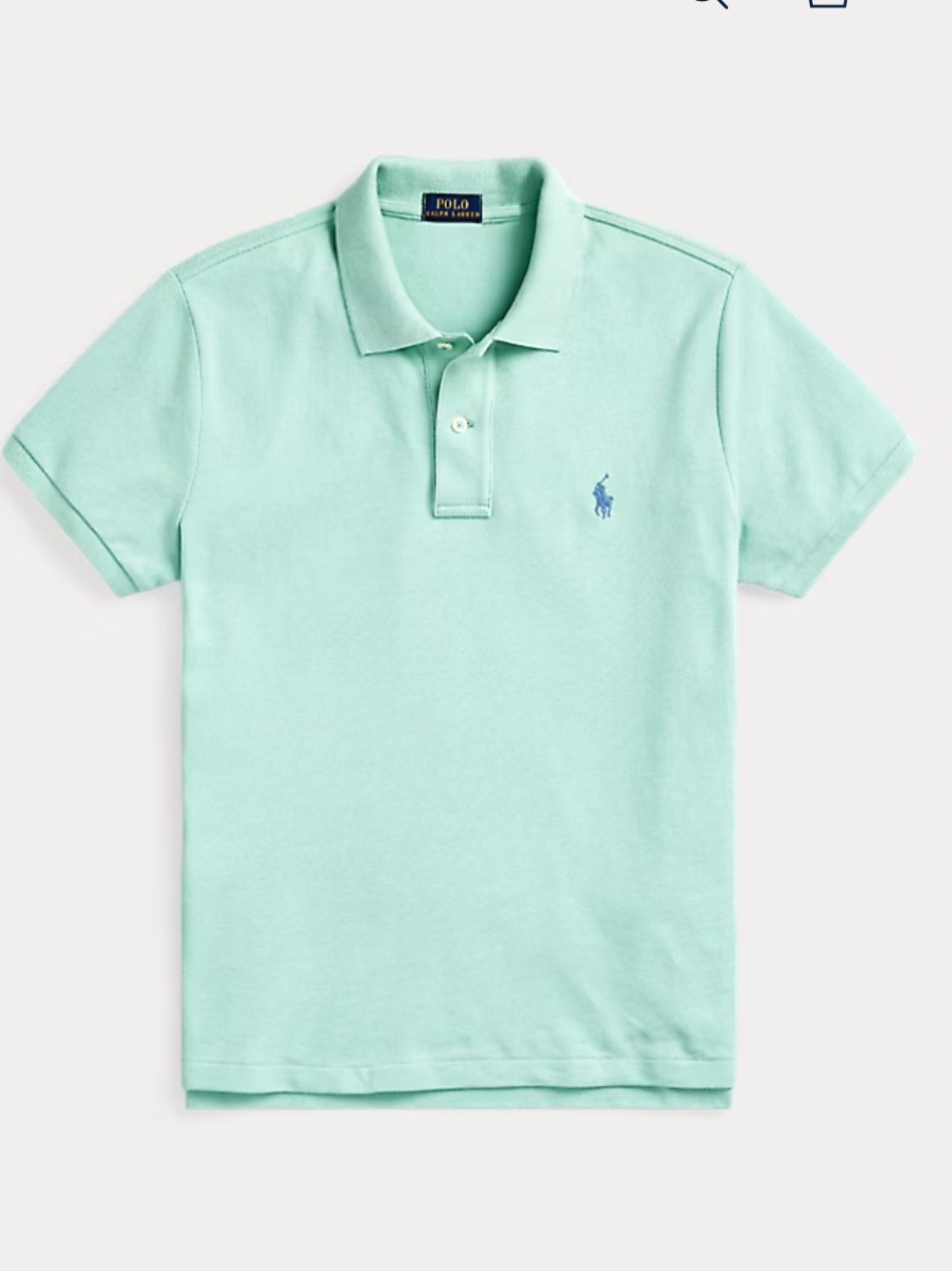 Ralph Lauren Polo Shirt in Mint Green with Blue Pony